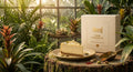 Rabdi Cheesecake